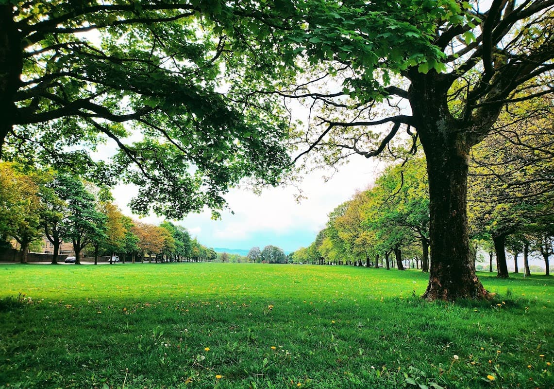 Savile Park Moor