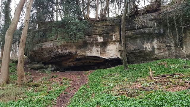 A large rocky overhang surrounded by trees and lush green undergrowth in Dead Man's Cave, Anston, Yorkshire.