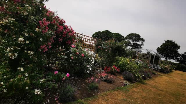 Lush flower garden with climbing roses, trellises, and a gazebo against a cloudy sky in Borough Park, Redcar.