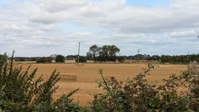 Free parking area near a vast golden field, with scattered trees and cloudy skies in Hedon, Yorkshire.