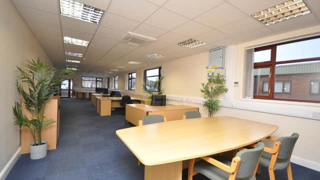 Bright, spacious office interior with wooden desks, chairs, and potted plants, featuring large windows and carpeted flooring.