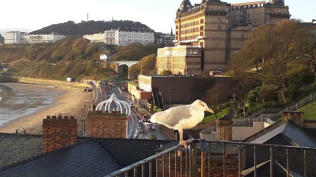 Accommodation at THE MARINERS' HOUSE - Historic Hotels & Properties Ltd. in scarborough