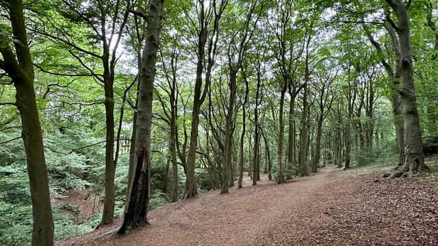 Longley Woods Nature Reserve - Nature Reserves in huddersfield