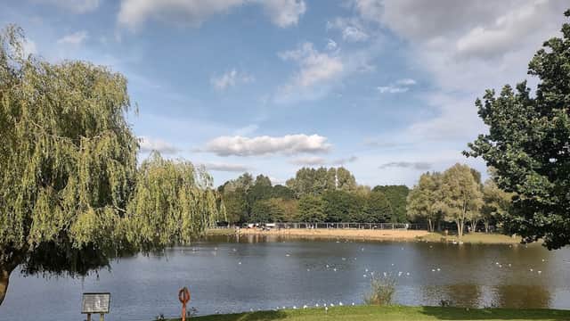 Lush green park with a lake, trees, and a cloudy blue sky, featuring a lifebuoy near the water's edge.
