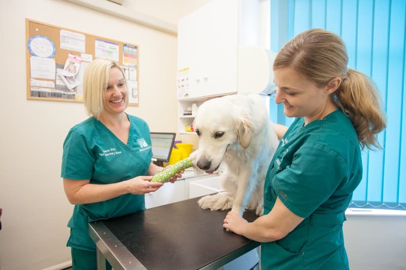 Beechwood Veterinary Group, Chapel Allerton