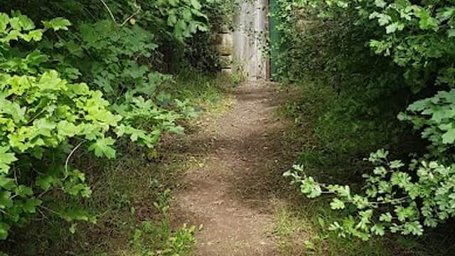 Blackburn Meadows - Nature Reserves in rotherham