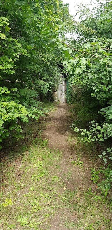 Blackburn Meadows