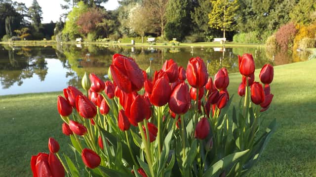 Burnby Hall Gardens and Museum - Garden in pocklington