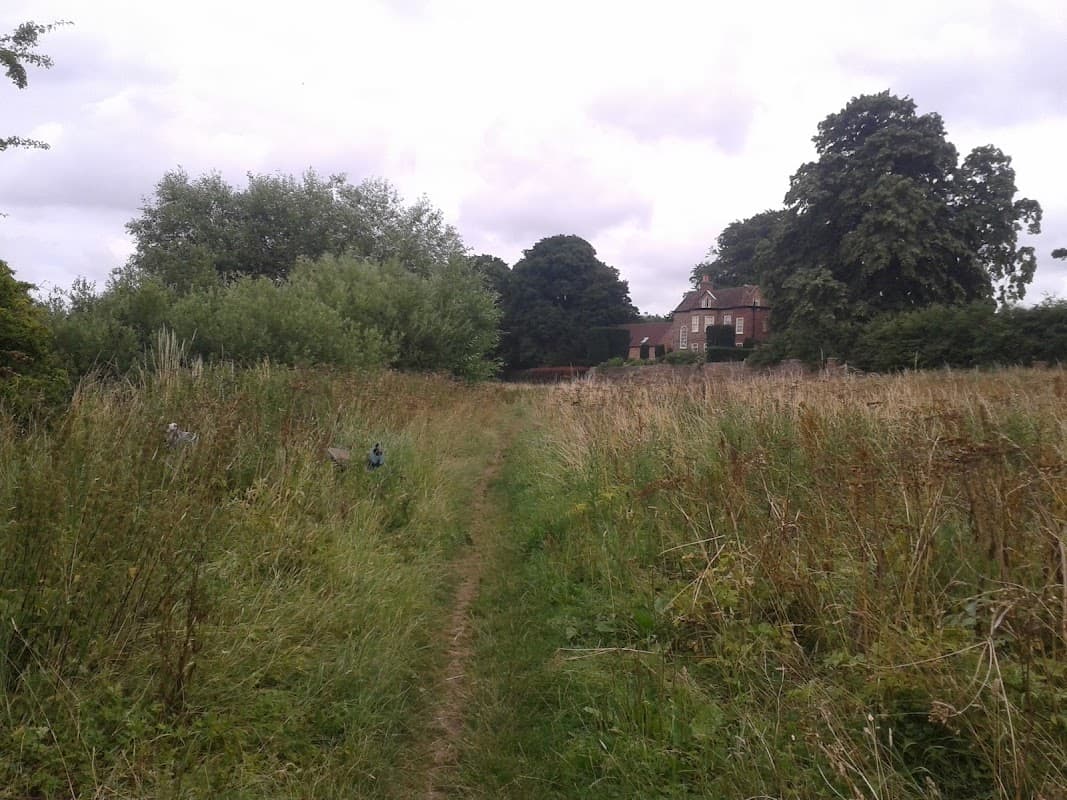 Fulford Ings