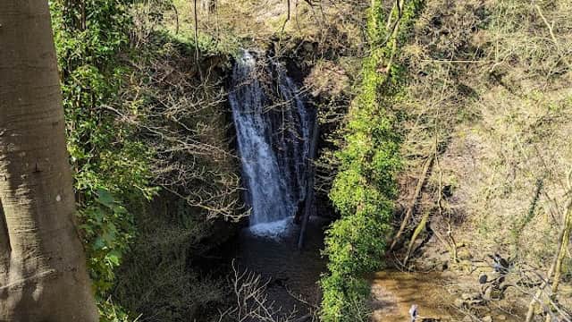 A serene waterfall cascades down rocky terrain, surrounded by lush greenery and trees in a tranquil natural setting.
