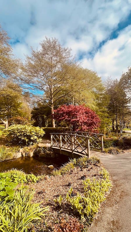A wooden bridge over a small pond, surrounded by lush greenery and colorful trees under a partly cloudy sky.