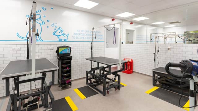The Groom Room Doncaster - Pet Shops in doncaster