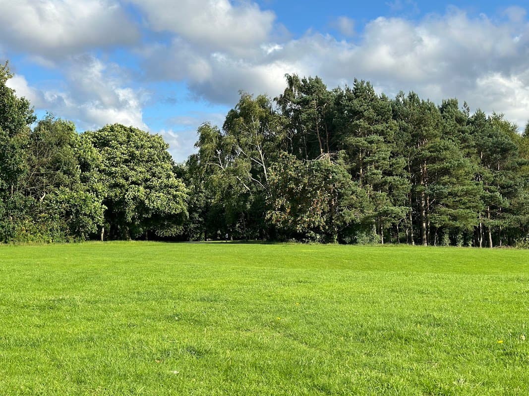 The Play Park
