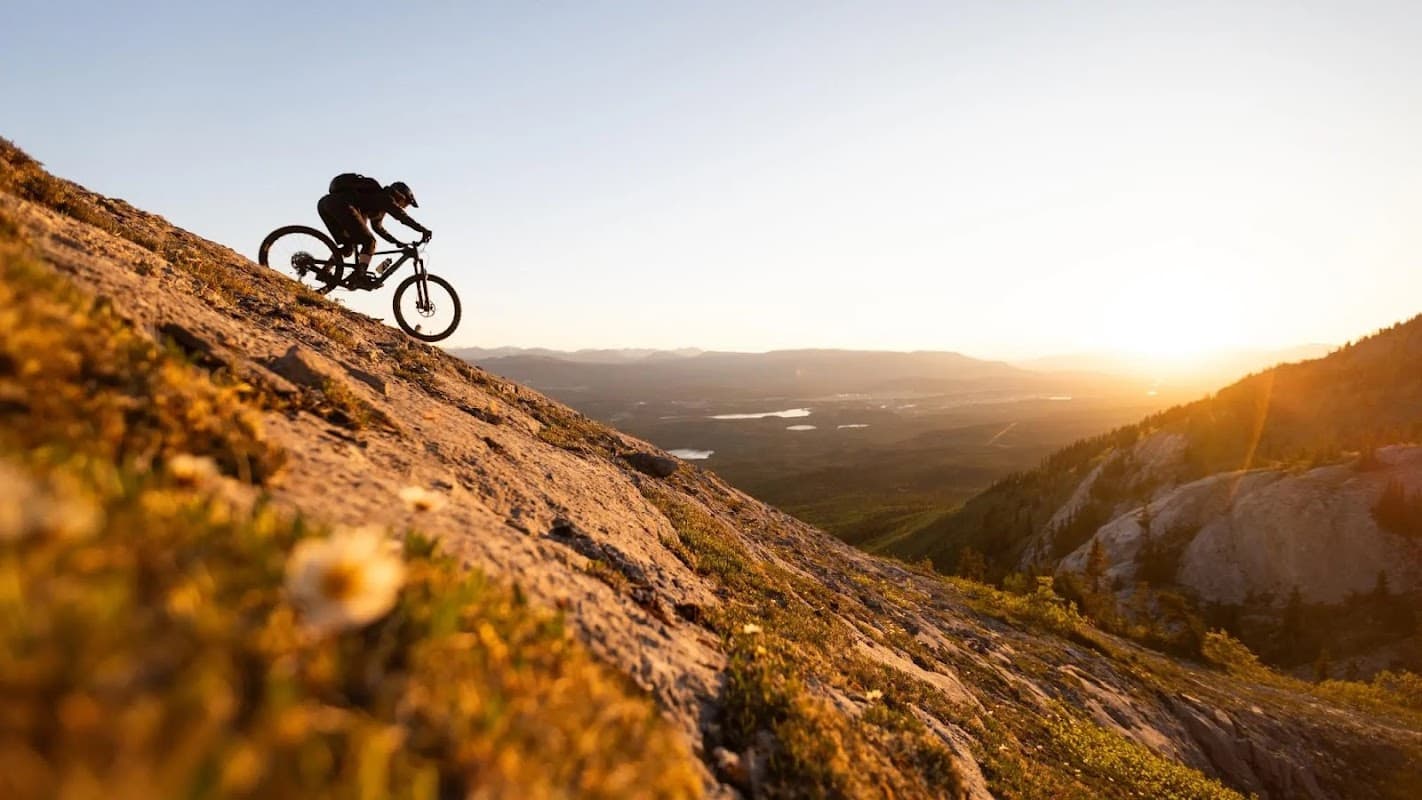 BlissBikes