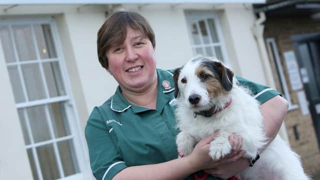 The Minster Veterinary Practice, Mount Branch - Vets in malton