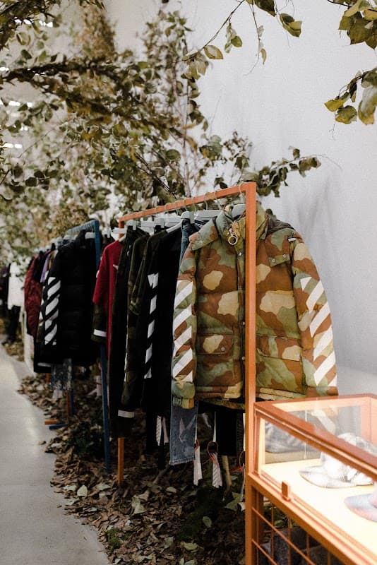 D3luxe Fashion Limited