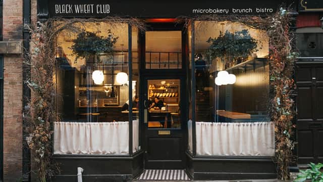 Charming bakery with large windows, hanging plants, and soft lighting, featuring a cozy atmosphere in York.