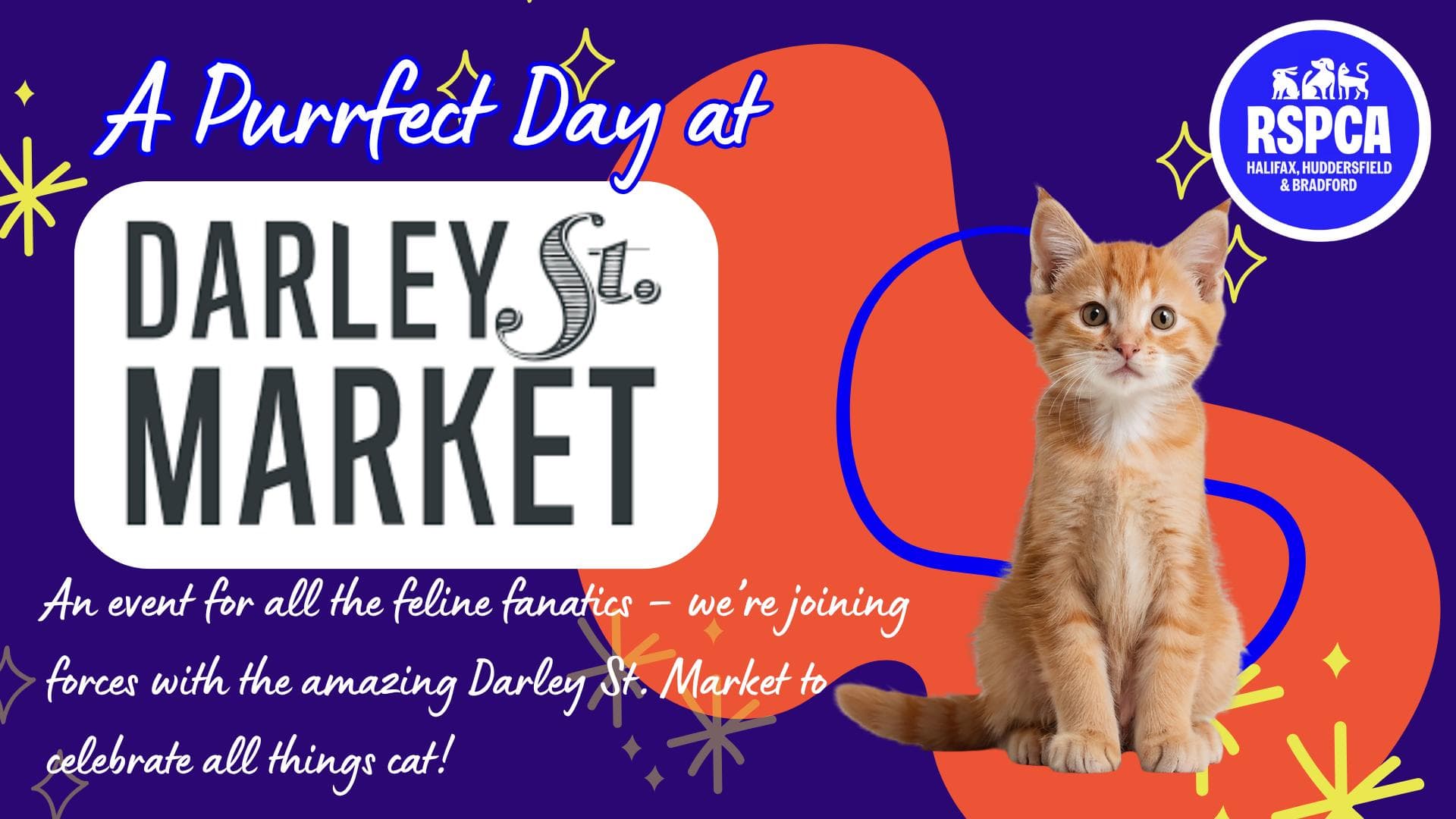 A Purrfect Day at Darley Street Market