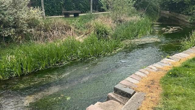 A tranquil footpath alongside a clear stream, bordered by lush greenery and trees in North Cave Hotham Park.