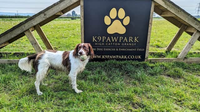 A dog stands beside a wooden sign for K9PAWPARK, featuring a paw print logo and green fields in the background.