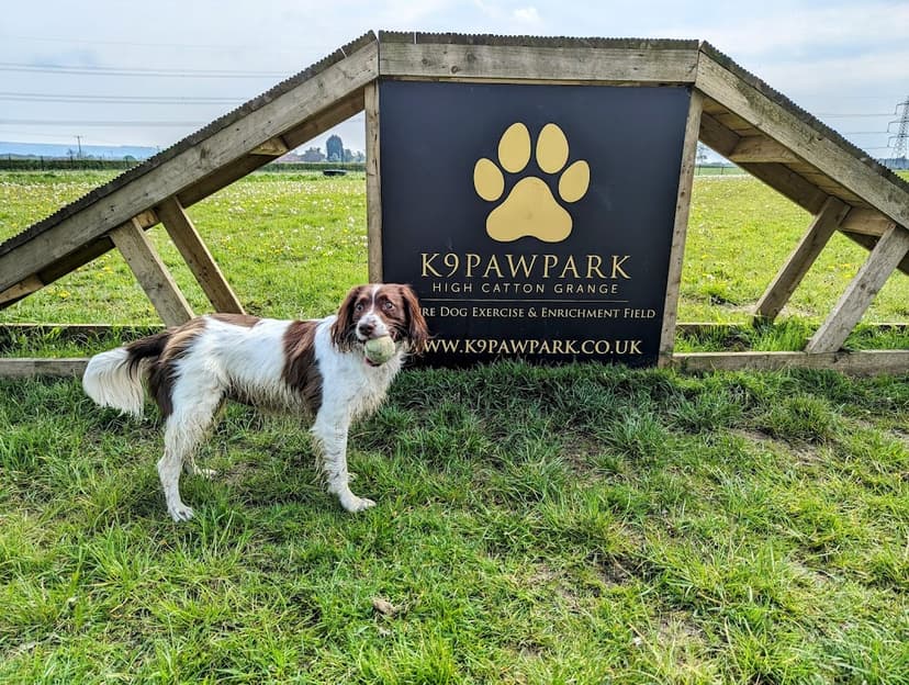 K9pawpark - A Park In High Catton | Yorkshire.com