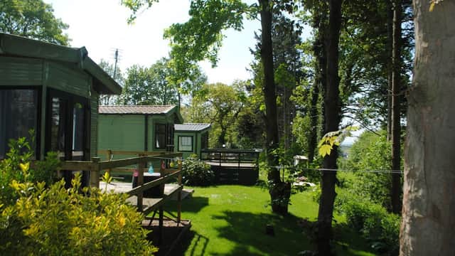 Lush green landscape with wooden cabins, trees, and a sunny sky at Allerton Park, Yorkshire.