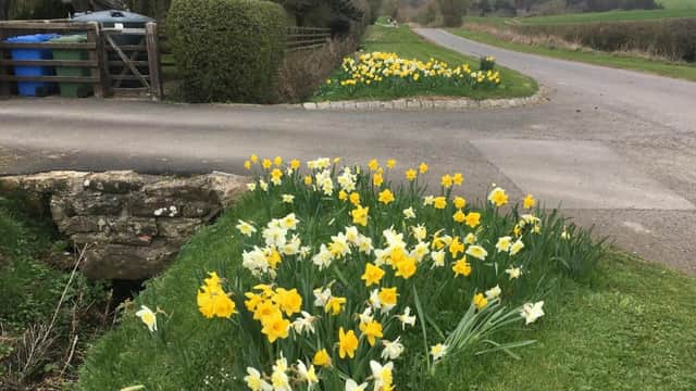 Accommodation at Low Moor Lodge in scarborough