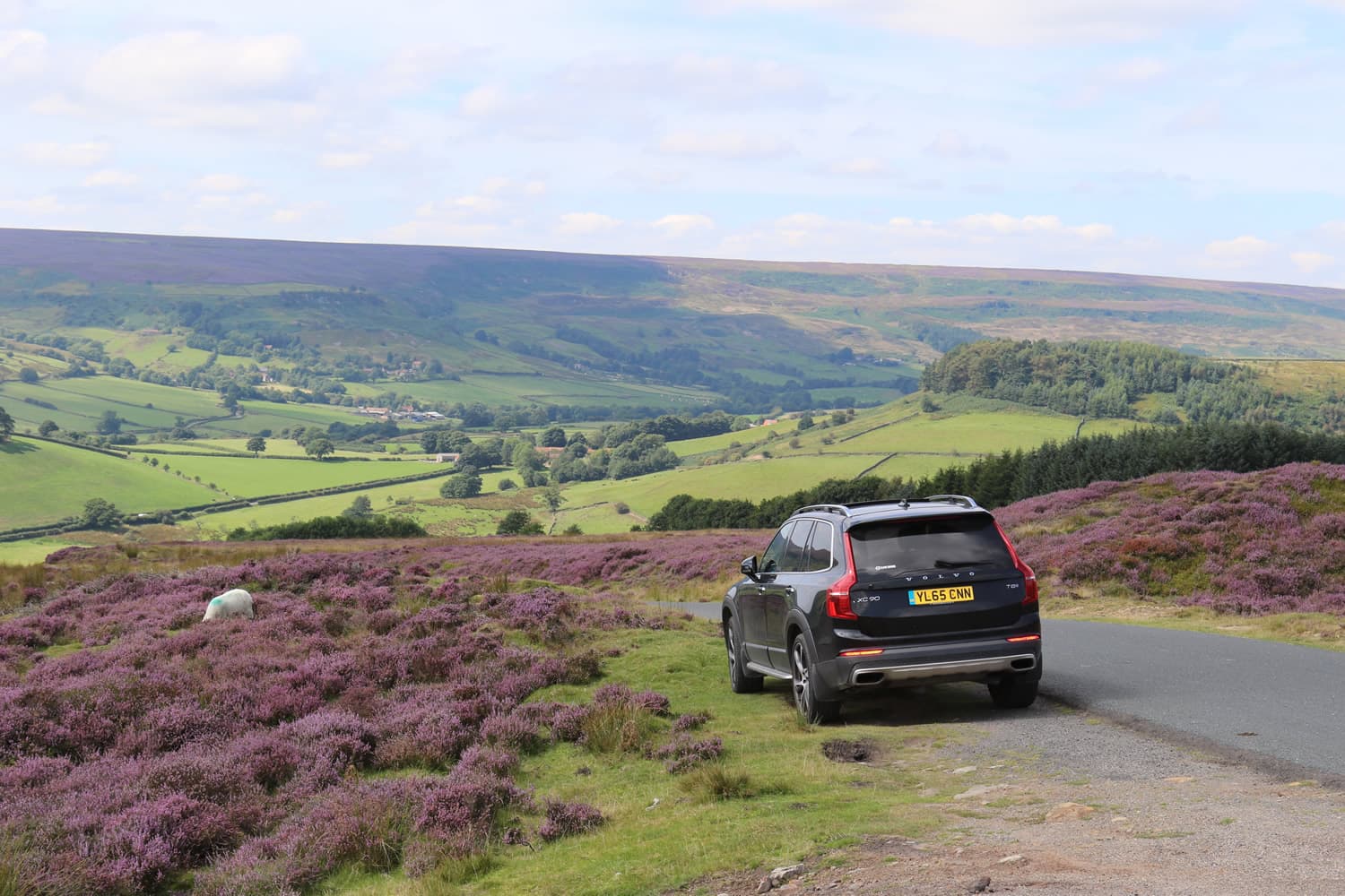 Real Yorkshire Tours