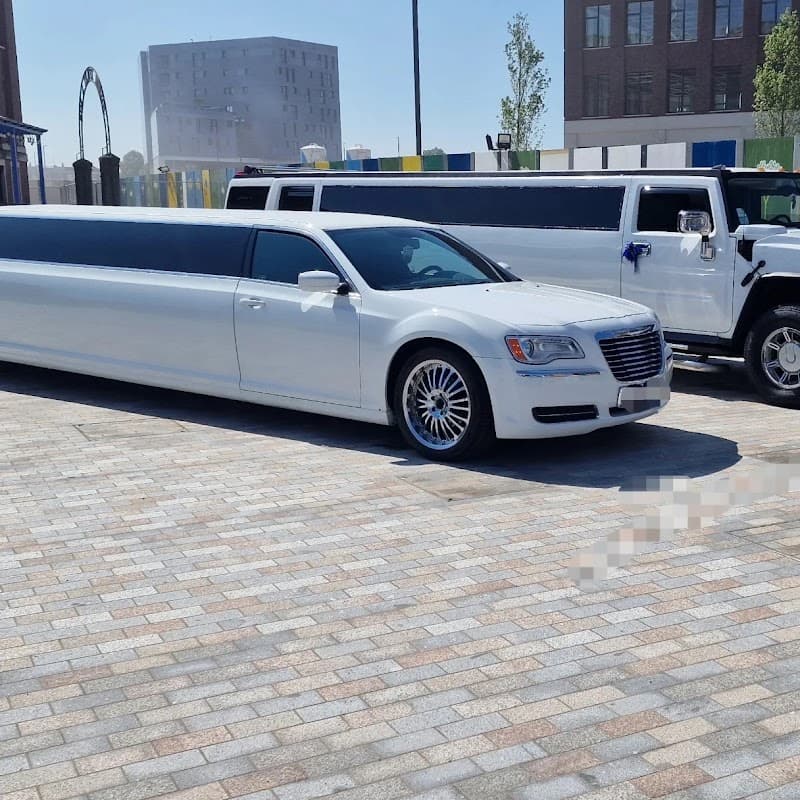 Dallas limousines ltd