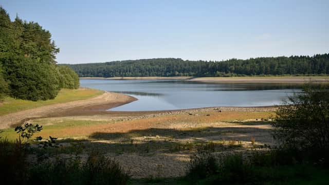 Serene lakeside view at Swinsty Moor Car Park, surrounded by trees and gentle hills under a clear blue sky.