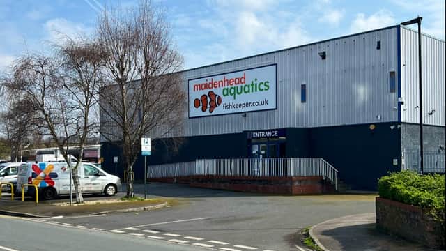 Maidenhead Aquatics Sheffield - Pet Shops in heeley