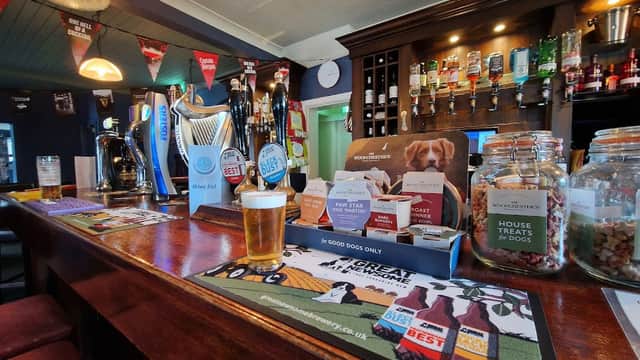 A cozy bar interior featuring a wooden counter, beer taps, a pint of beer, and dog treat jars. Banners hang above.