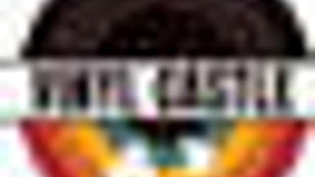 Vinyl Castle logo