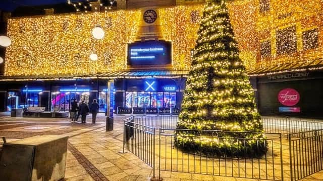 Festive lights illuminate Captain Cook Square, featuring a decorated Christmas tree and bustling visitors.