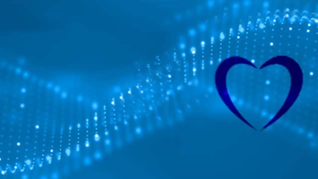 Lyca IT - Tech & Electronics in pontefract