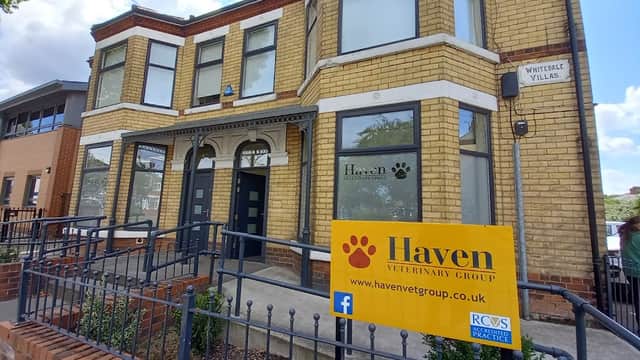 Haven Veterinary Group, Hull - Vets in hull
