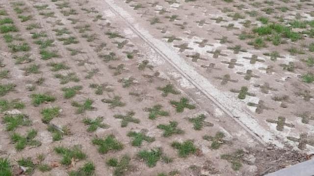 Free parking area at Bluebell Café in Eckington, Yorkshire, featuring grassed grid paving and empty spaces.
