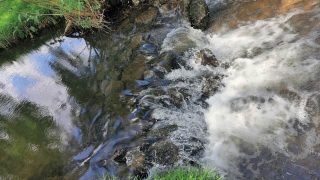Clear water flows over rocks, surrounded by lush green grass and trees, reflecting the sky above in Hunton Village.