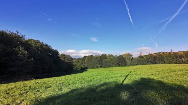 Stanley Fields - Park in neepsend
