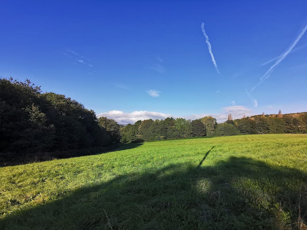 Stanley Fields