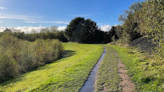 Letchmire Pastures - Nature Reserves in castleford