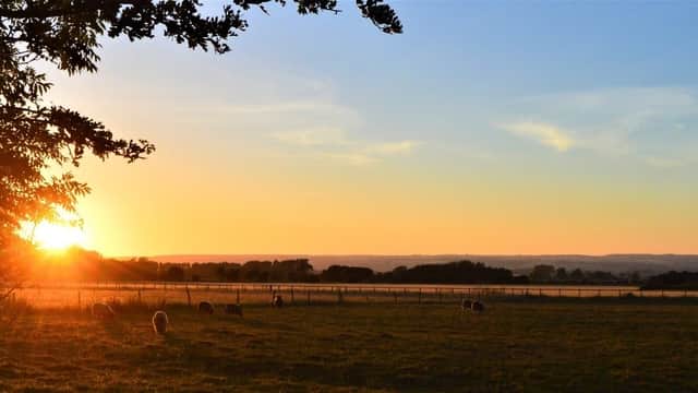 Lime Tree Cottage - Attraction in sherburn north yorkshire