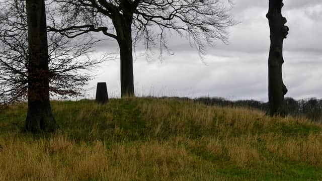 Trig point on a grassy hill surrounded by bare trees under a cloudy sky in Millington, Yorkshire.