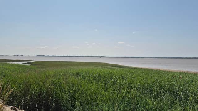 Expansive view of a river with grassy banks under a clear blue sky at Brough Haven View Point.
