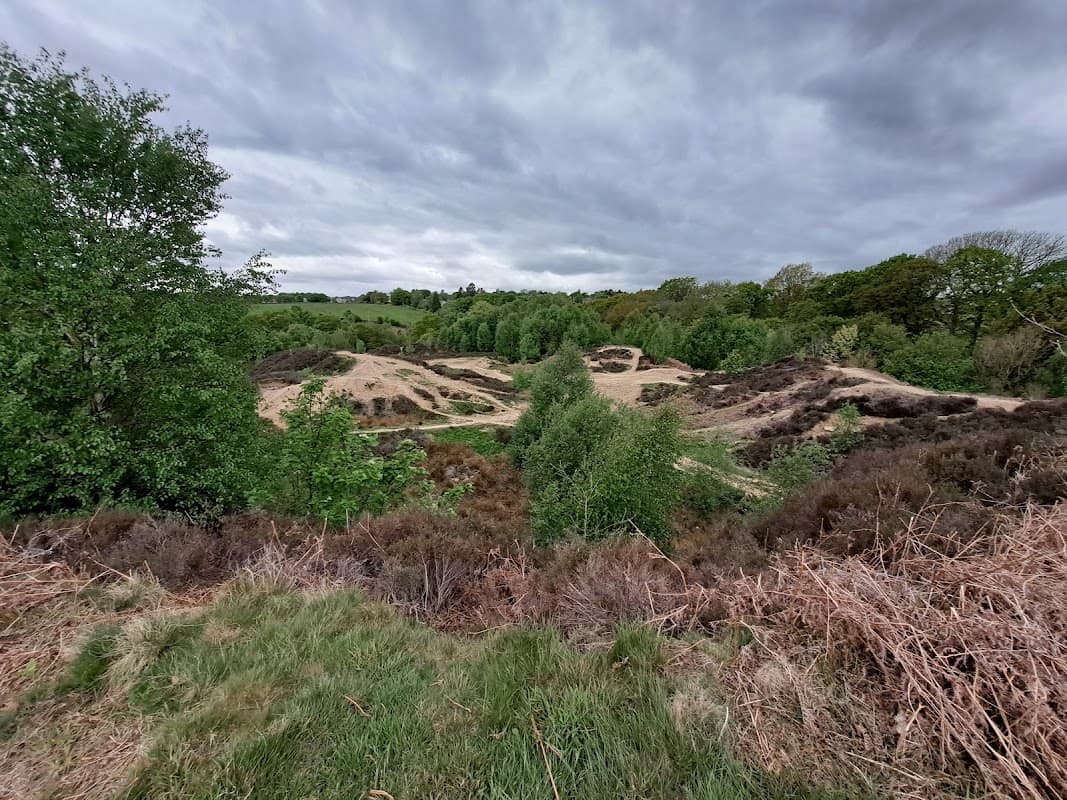 Shipley Glen Quarry