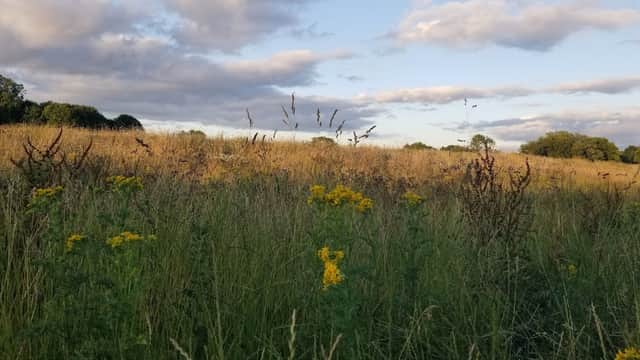 Rawcliffe Country Park - Park in york