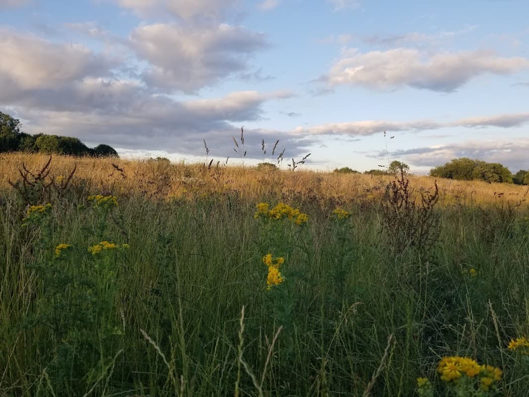 Rawcliffe Country Park