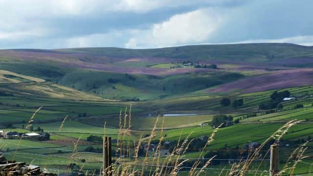 Windle House Farm - Attraction in oxenhope
