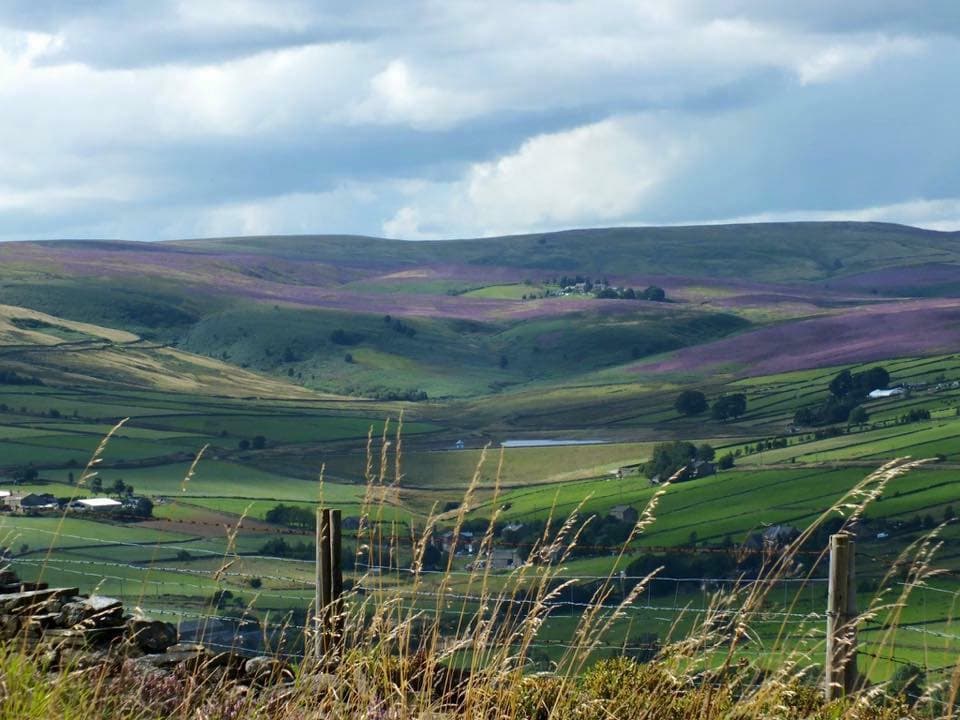 Windle House Farm