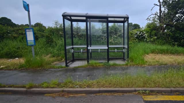 A bus shelter with a glass roof, surrounded by overgrown grass and trees, on a quiet road in Whitwell, Yorkshire.